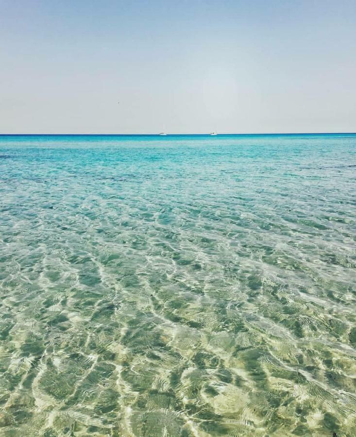 Maracaibo Holiday Flat ノート エクステリア 写真